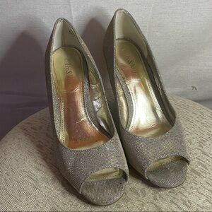 Kelly & Katie Silver/Gold Heels B1